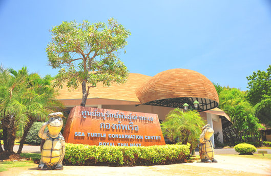 ศูนย์อนุรักษ์พันธุ์เต่าทะเล